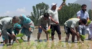 Pulwama PDP MLA Join Protest Against Jk Govt’s Attempts To Evict Land Tillers
