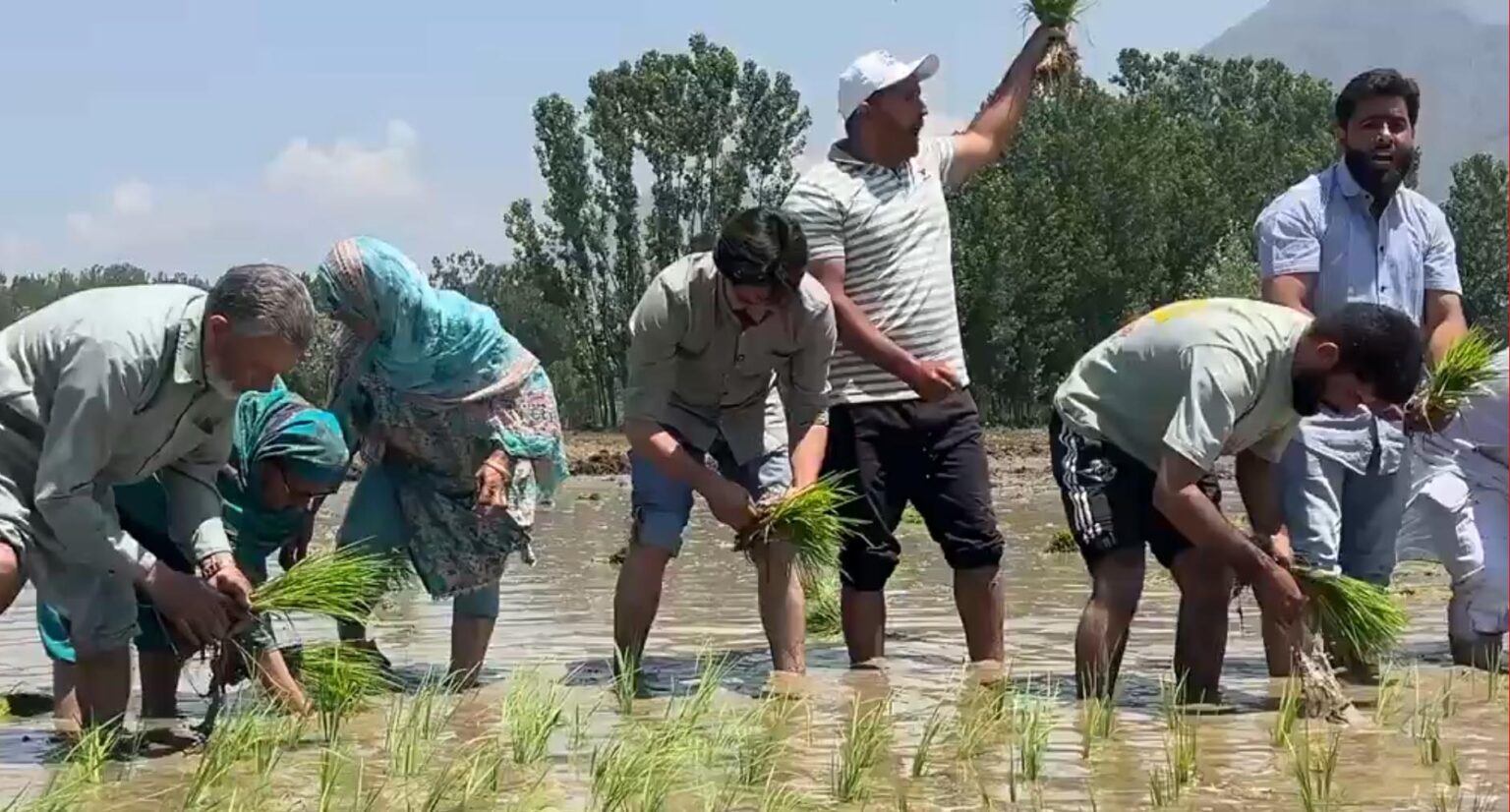 Pulwama PDP MLA Join Protest Against Jk Govt’s Attempts To Evict Land Tillers