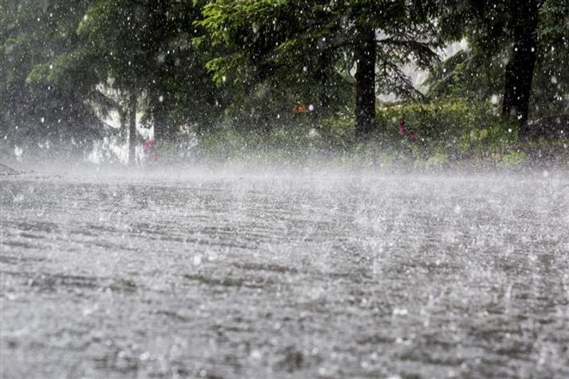 Heavy Rain Alert Issued For J&K From July 19 To 23, Jammu Region To See Most Of The Downpour: MeT