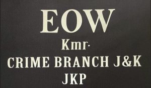 Lakhs Duped In Fake Overseas Job Scam; EOW Kashmir Files Chargesheet Against Srinagar Man