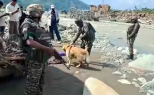 Army Dog Squad Joins Search For Seven Missing Persons In J&K’s Poonch, Rajouri