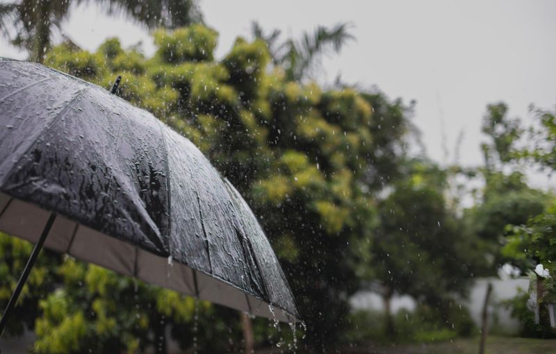 MeT Predicts Heavy Rain, Flash Flood Risk In J&K From July 28-31