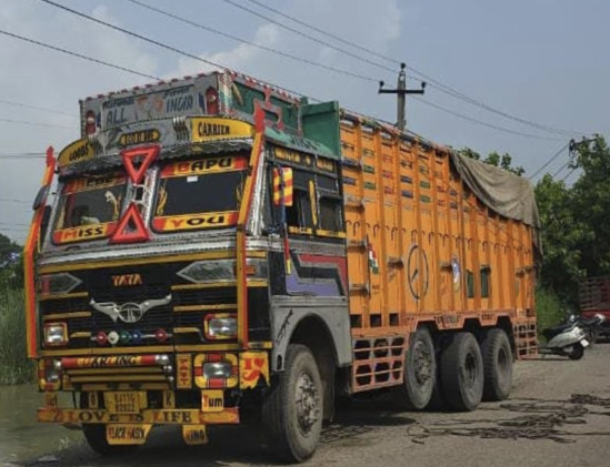 J&K Police Seizes Three Trucks Carrying 49 Cattle In Kathua, Smugglers Flee