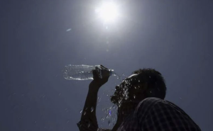 India Records Hottest August Since 1901: Weather Office