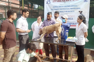 JMC Launches Anti-Rabies Vaccination Drive in Jammu