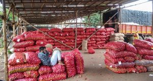 Govt Sells 4,000 Tonnes Of Buffer Onions Across 17 Cities In 10 Days To Cool Prices