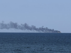 Govt Says 16 Indian Seafarers Killed In Persian Gulf And Black Sea Due To Conflicts