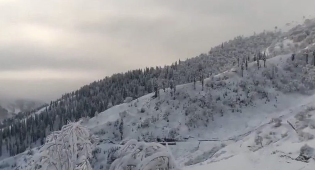 Higher Reaches Of Kashmir Witness Fresh Overnight Snowfall