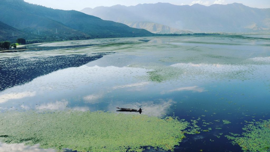 Wular Lake Conservation Restores 5 Sq Km Area, 1.31 Lakh Trees Removed In J&K